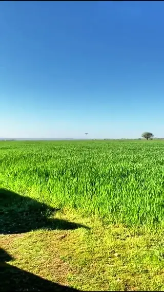 Buğday · Drone Uygulaması